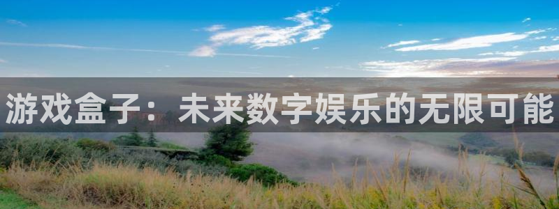 天美娱乐网址注册：游戏盒子：未来数字娱乐的无限可能
