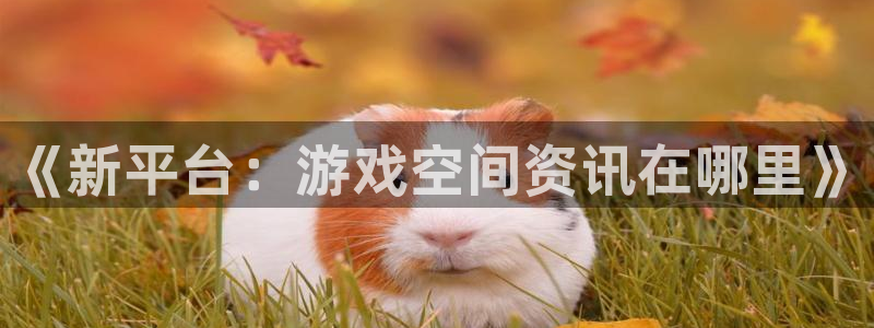 天美娱乐2登录：《新平台：游戏空间资讯在哪里》