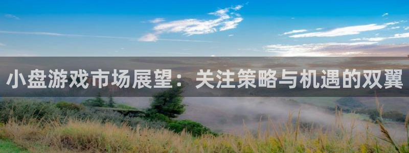 天美娱乐网址注册：小盘游戏市场展望：关注策略与机遇的双翼