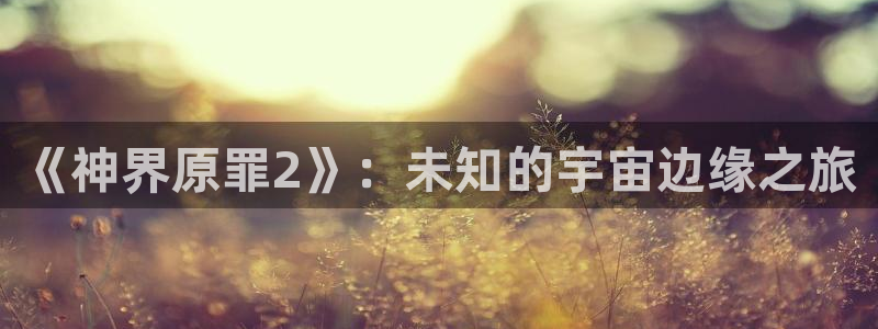 沐春天美娱乐：《神界原罪2》：未知的宇宙边缘之旅