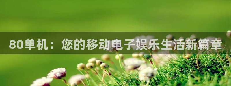天美娱乐主管：80单机：您的移动电子娱乐生活新篇章