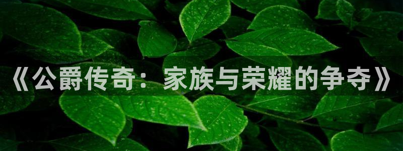 天美娱乐网页版地址：《公爵传奇：家族与荣耀的争夺》